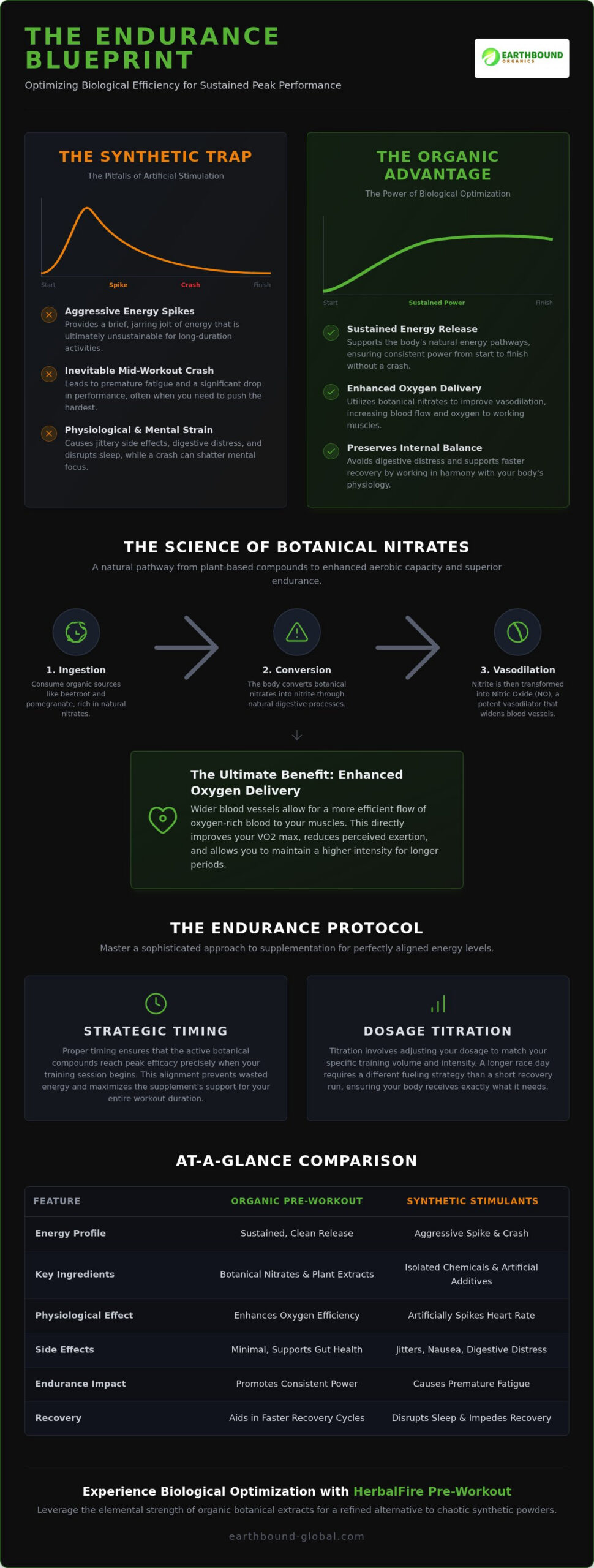 Organic Pre Workout for Endurance: The Science of Sustained Power